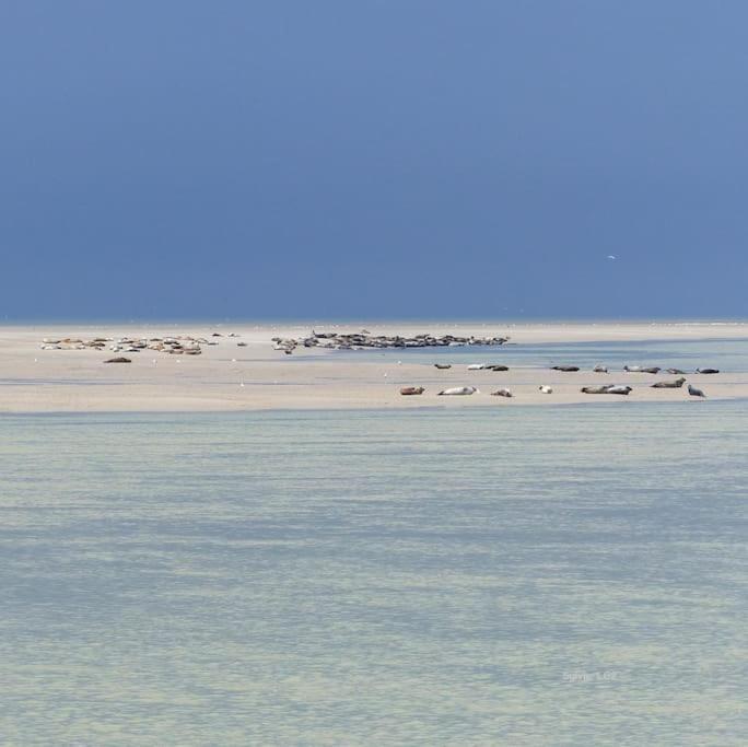 Vue Mer Berck Eksteriør bilde